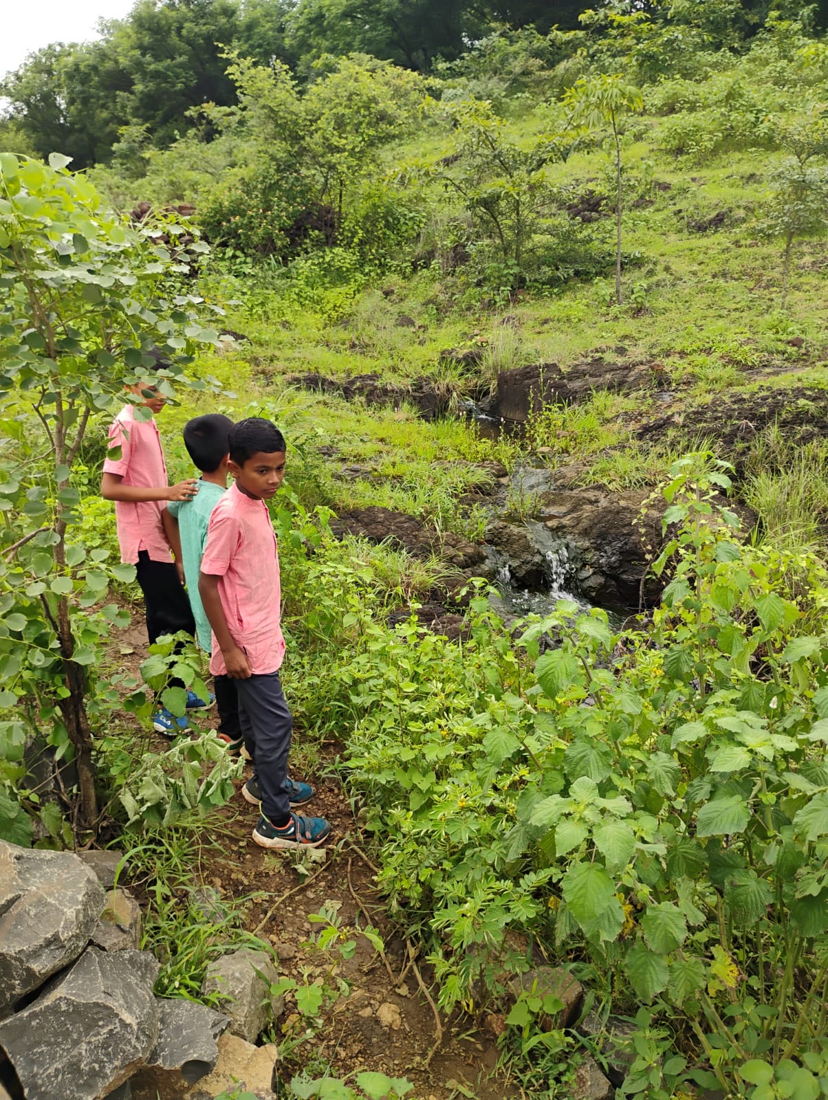 Children on a nature walk